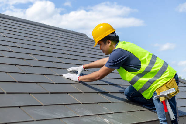 Best Roof Gutter Cleaning  in Elon, NC